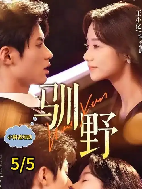 白夜追凶2 电视剧 2025 王伟